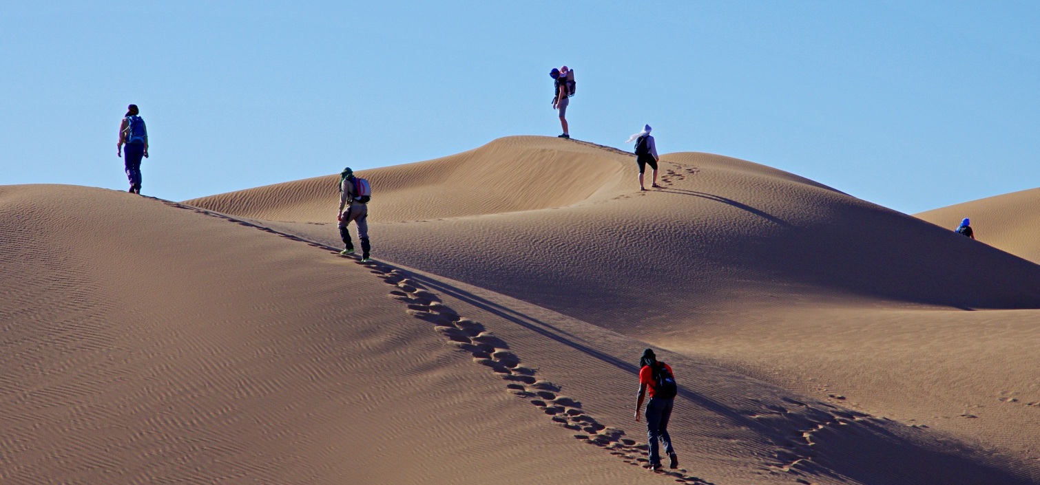 wandering in Marrakesch