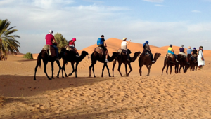 excursion a marrakech